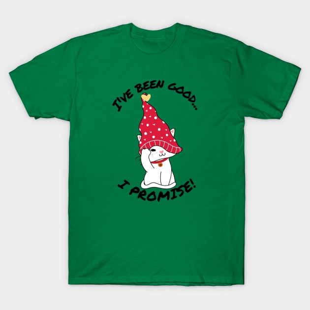 I've Been Good...I Promise Nice List T-Shirt by RRLBuds